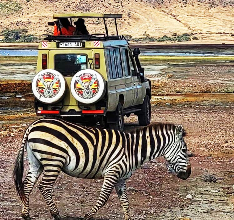Wildlife Safaris