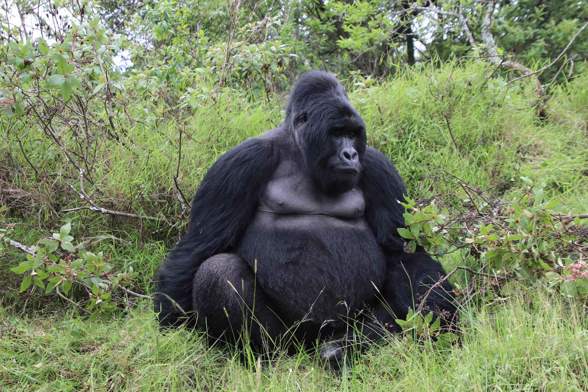 Rwanda
