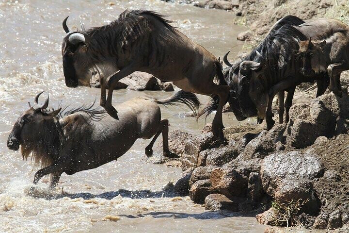 Tanzania