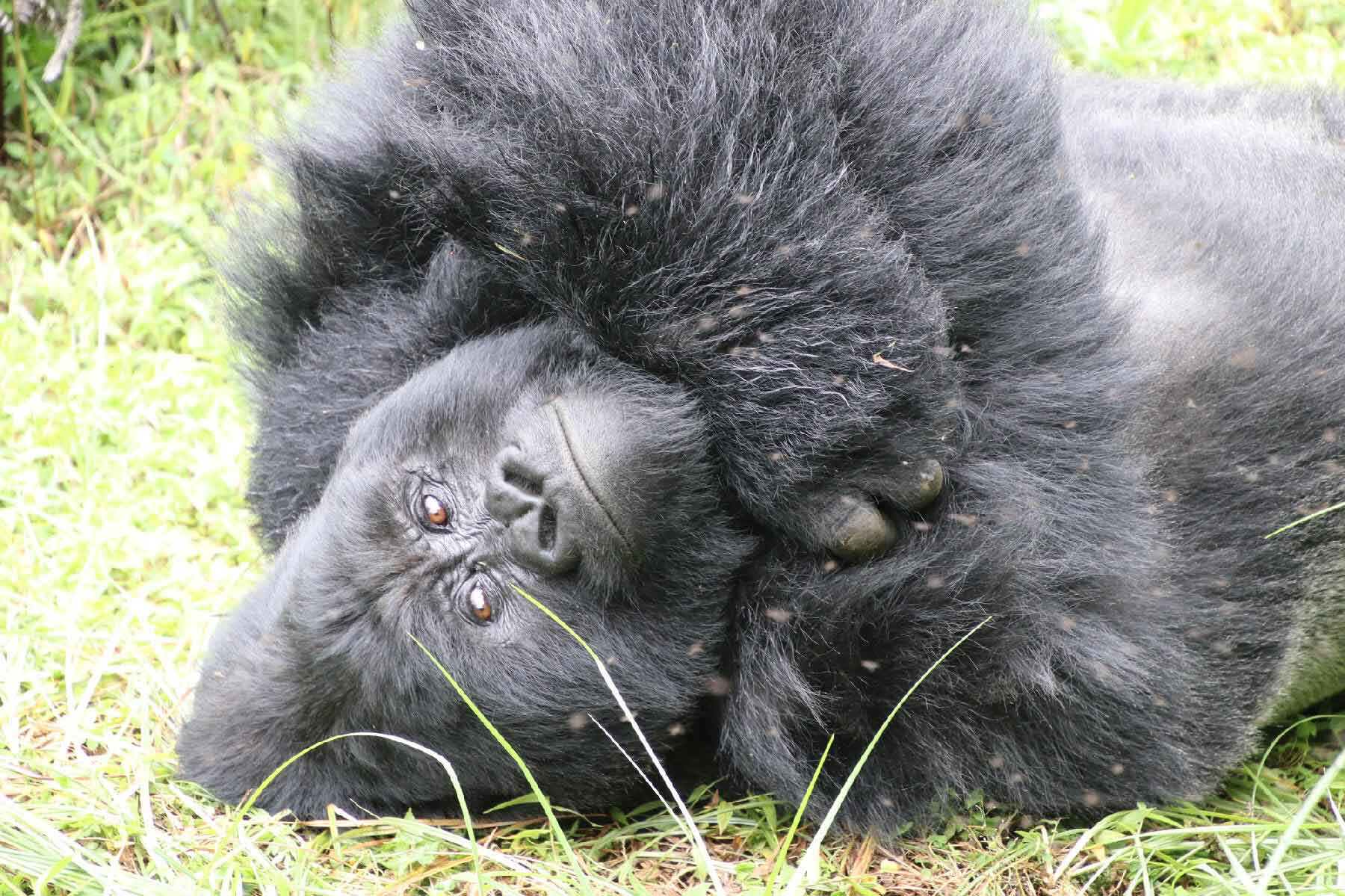 Uganda
