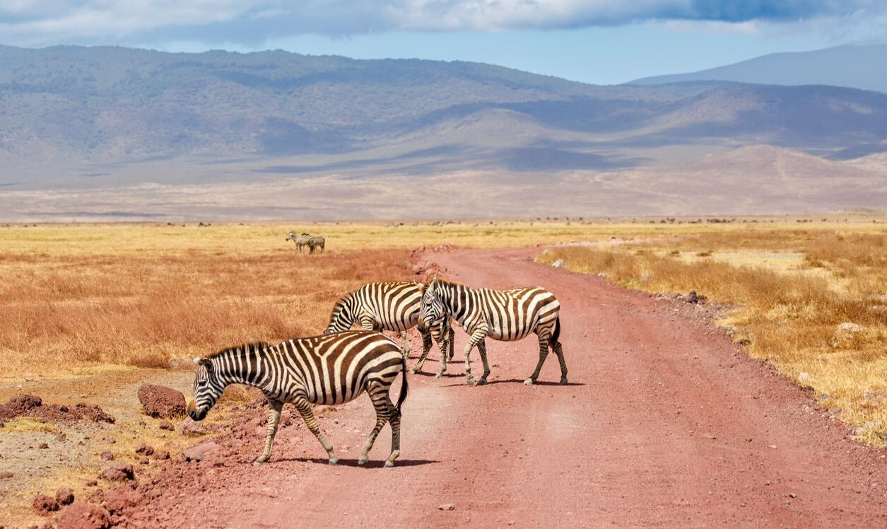 Ngorongoro Crater