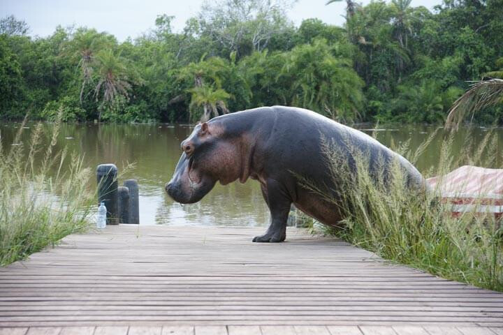 Saadani National Park