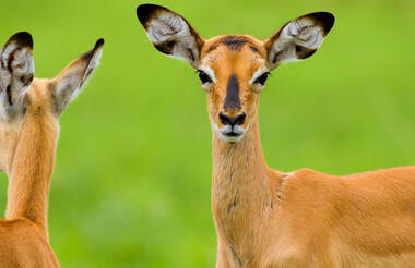 Tarangire National Park