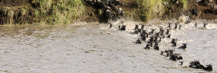 safari tanzanie vetements