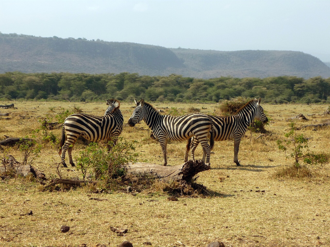 tanzania safari outfits