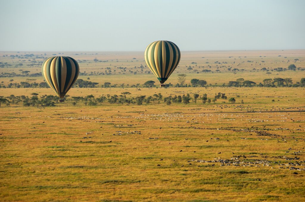 Serengeti balloon safaris.