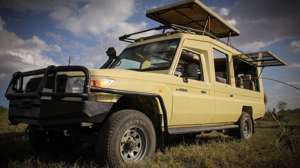 How Much Does a Tanzania Safari Cost?.