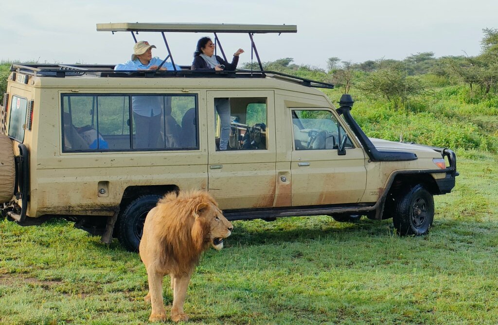 Best Tanzania Wildlife Safari Packages For 2024/2025.
